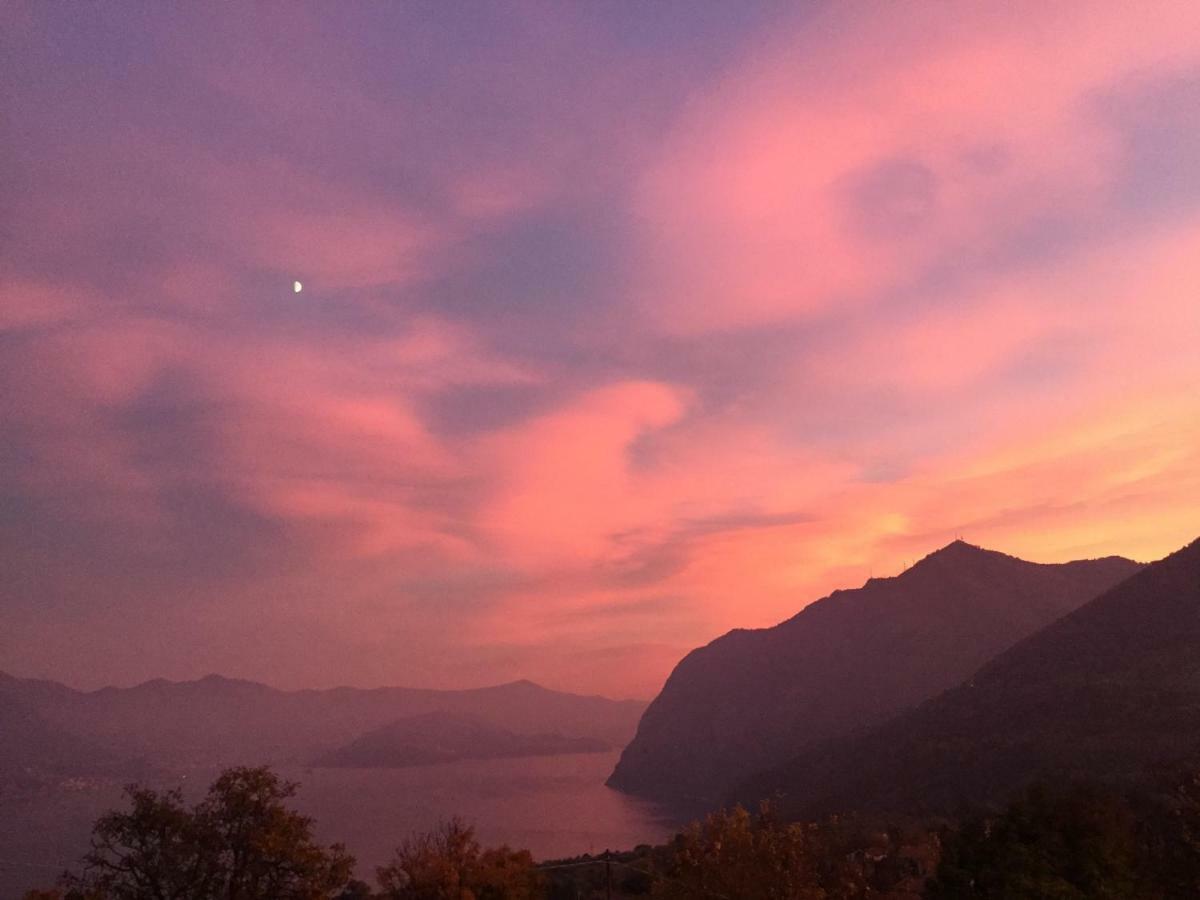 Luminoso Appartamento Vista Lago Solto Collina Eksteriør bilde